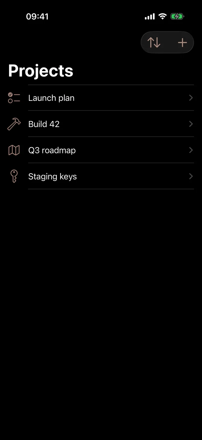 Navigation bar with sort and new project buttons next to the large title