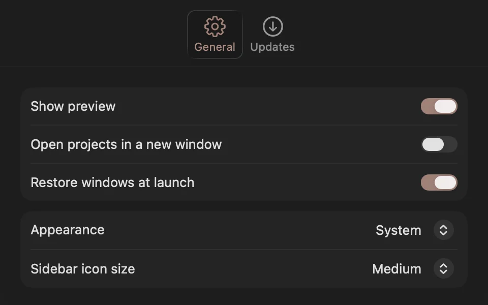 Settings window with general and updates tabs in the toolbar